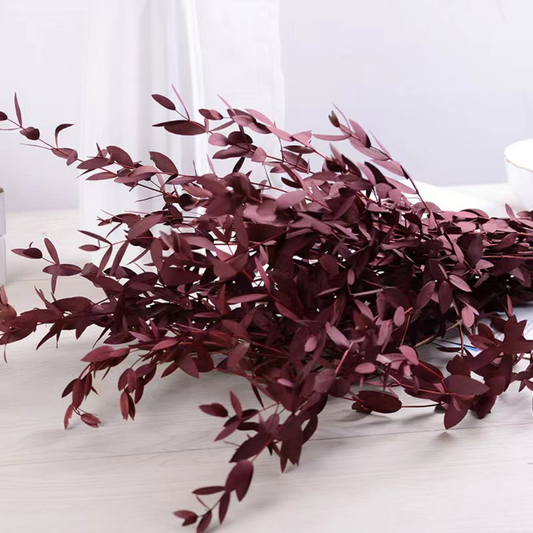 Småbladig eucalyptus red