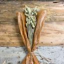 Phalaris 100gram natur