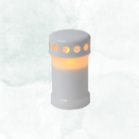 Gravljus