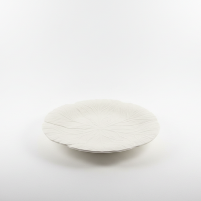 Broad Leaf