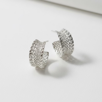 Örhängen Silver Mesh