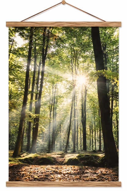 Canvasposter med ram, Lövskog