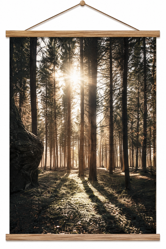 Canvasposter med ram, Skogsglänta