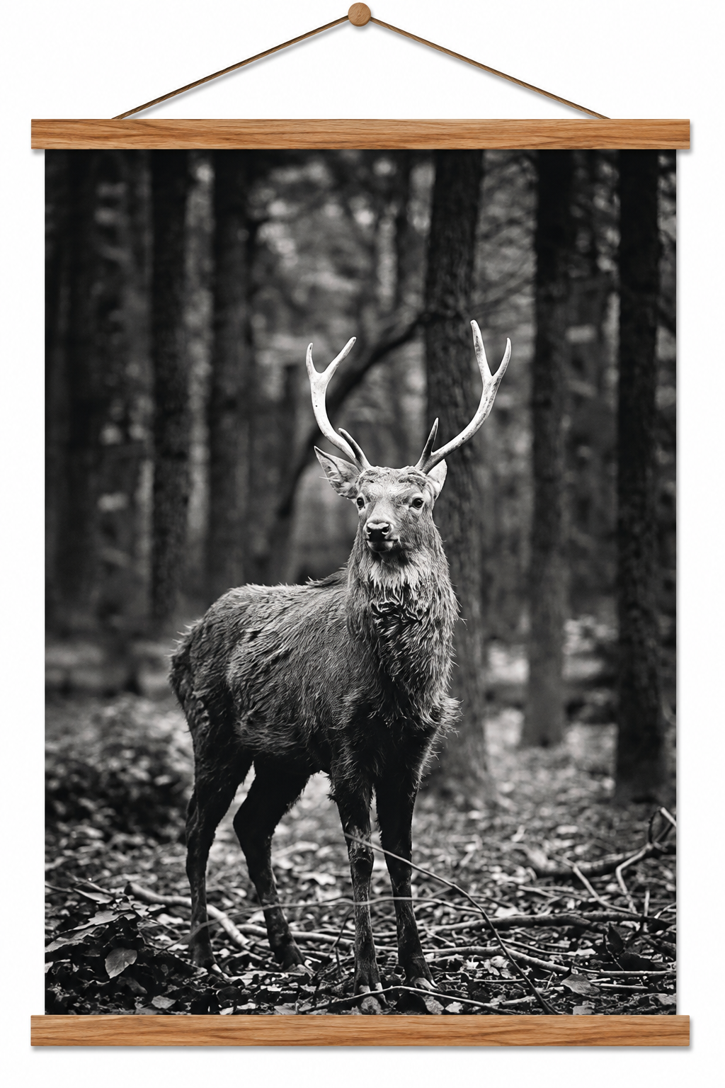 Canvas poster Forest Deer