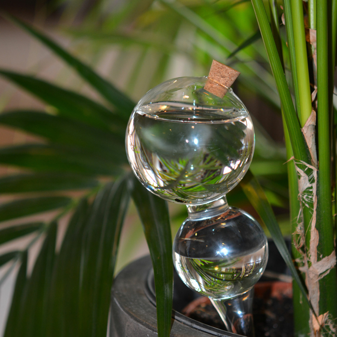 Bevattningsbubbla i glas