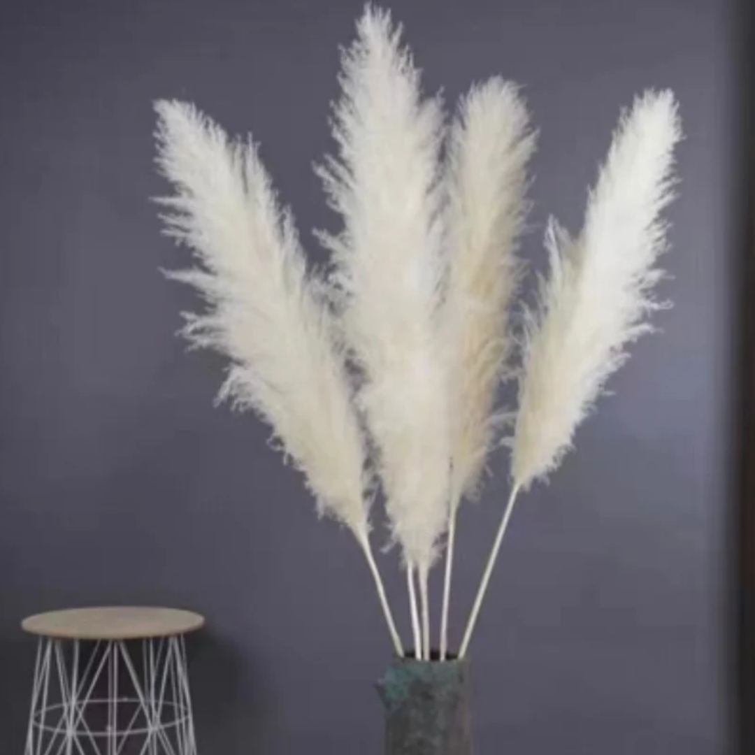 Stora Pampasgräs 110cm, Vit