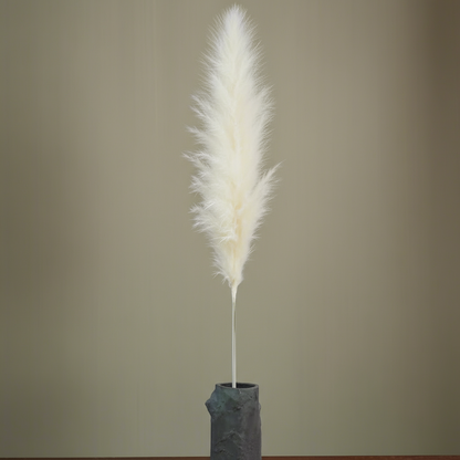 Stora Pampasgräs 110cm, Vit