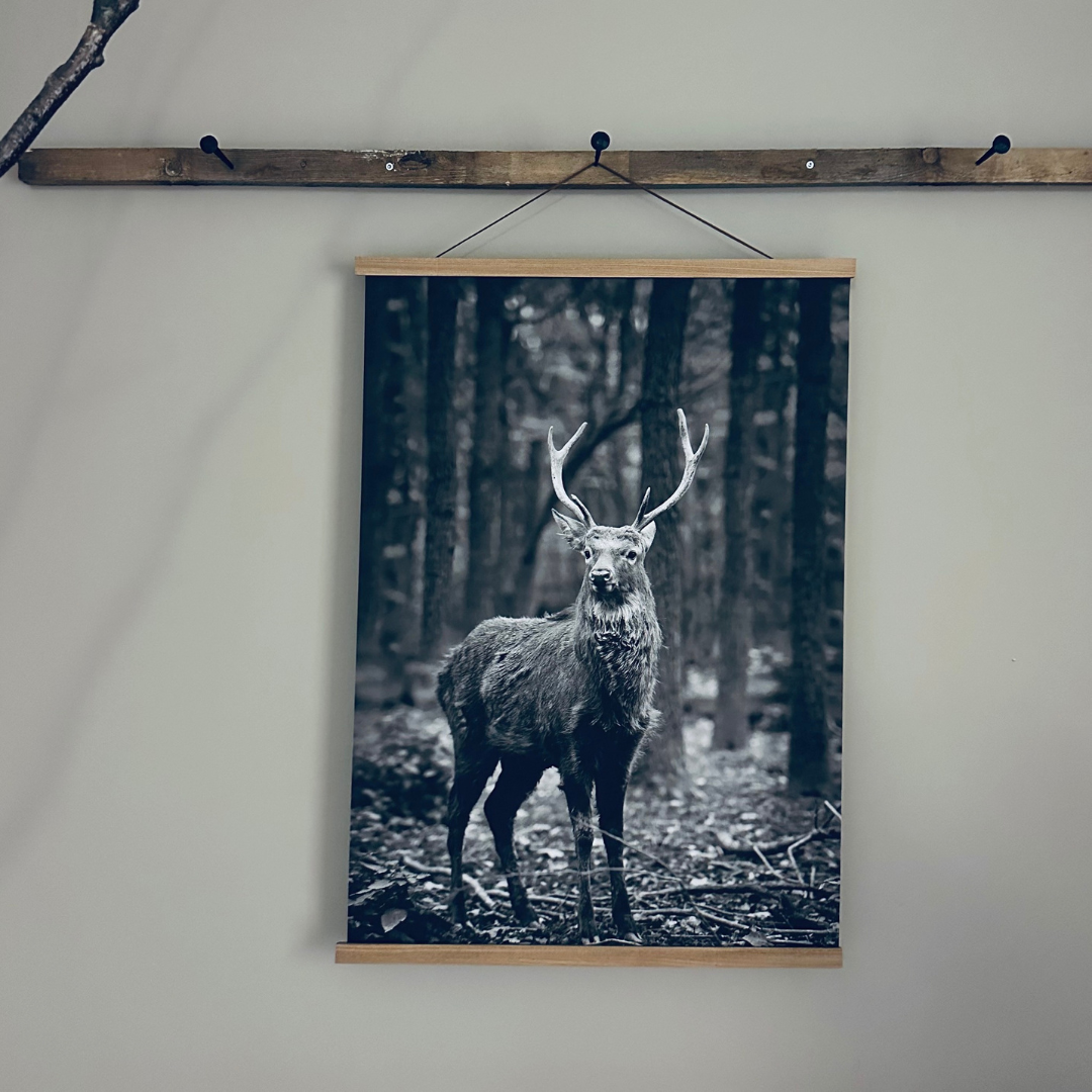 Canvasposter Skogens Hjort