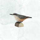 Decobird, Nötväcka