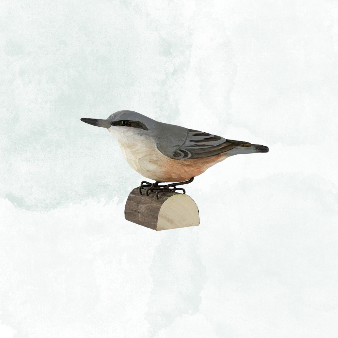 Decobird, Nötväcka
