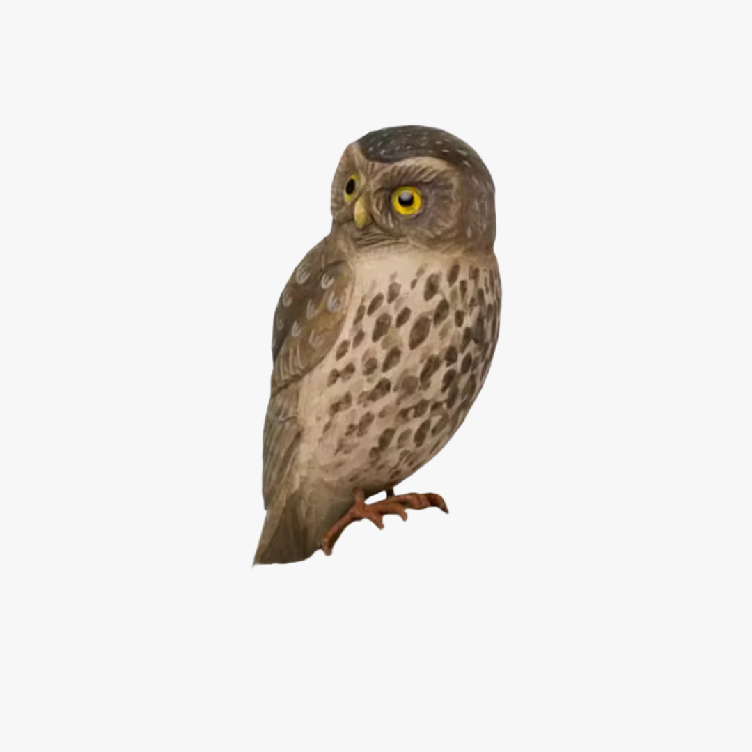 Decobird, Uggla