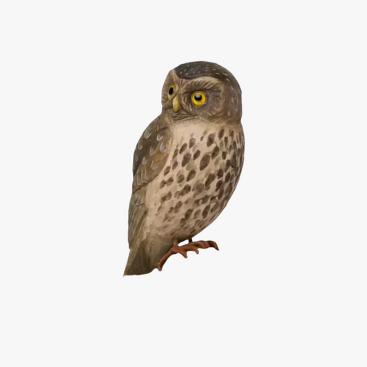 Decobird, Uggla