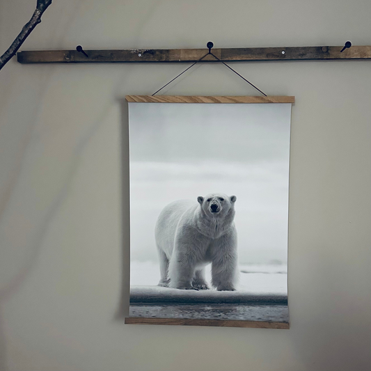 Canvasposter Isbjörn