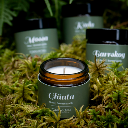 Doftljus  Northern Woods