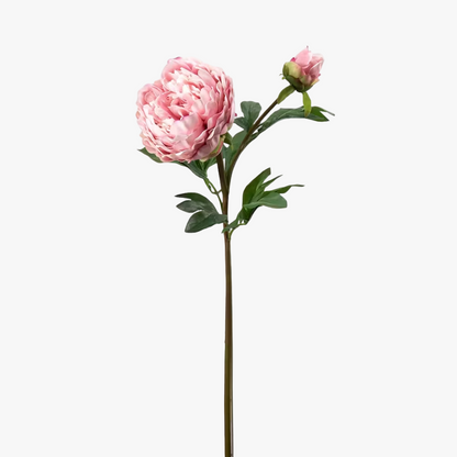 Peony 65cm, Pink