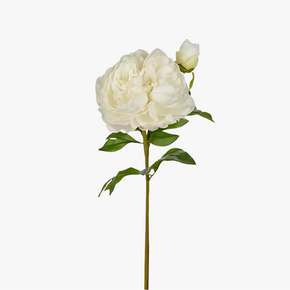 Peony 65cm, White