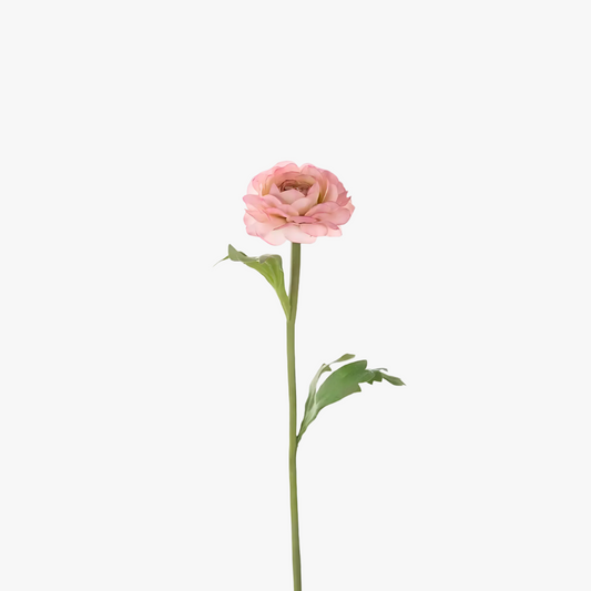 Ranuncel 35cm, Rosa