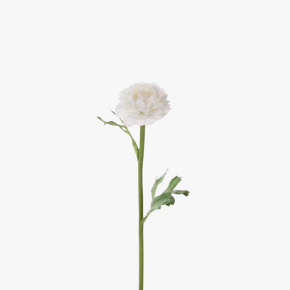 Ranunculus 35cm, White
