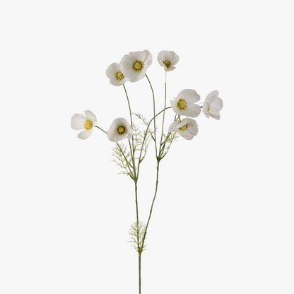 Rose Diadem 100cm, White