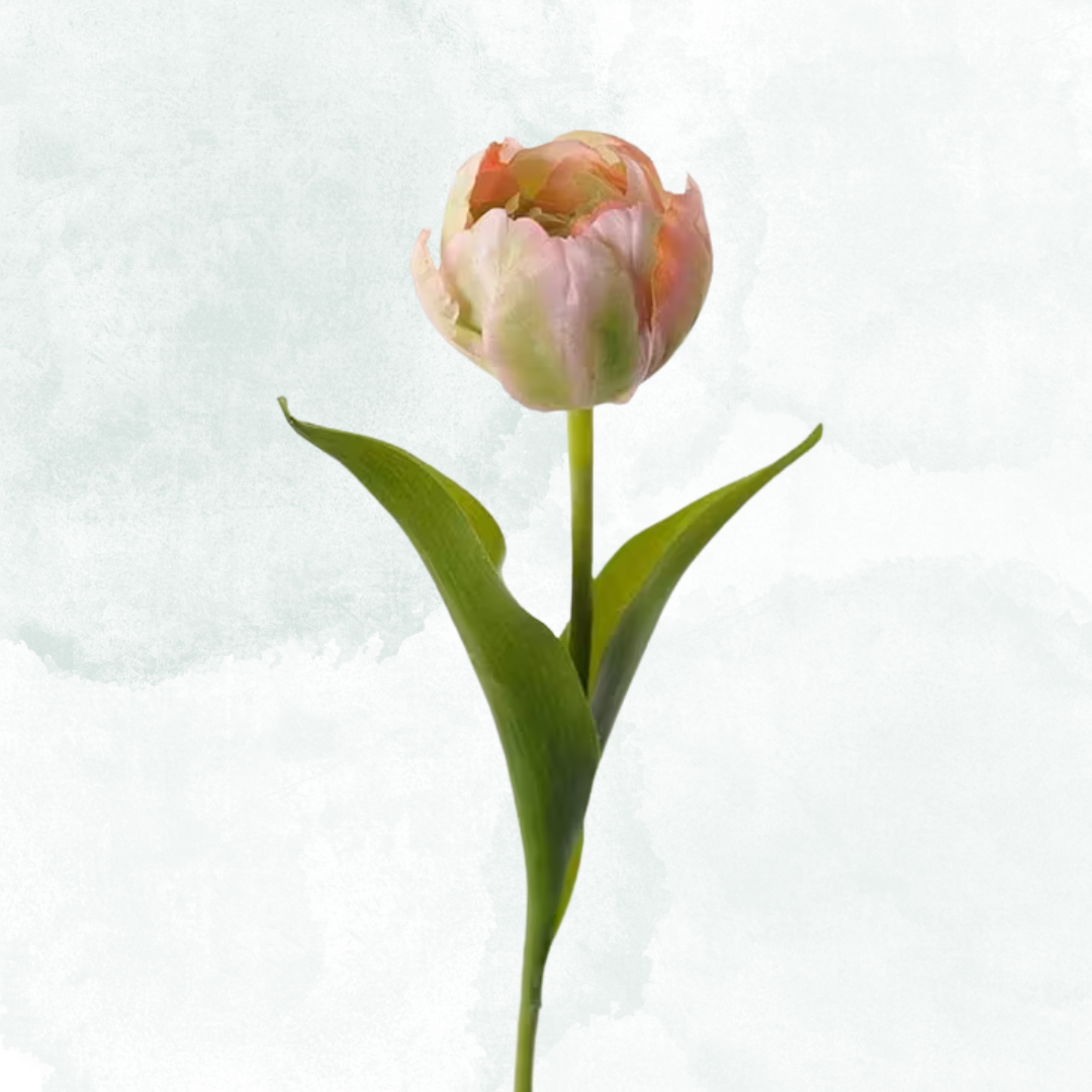 Tulpan 35cm, Rosa