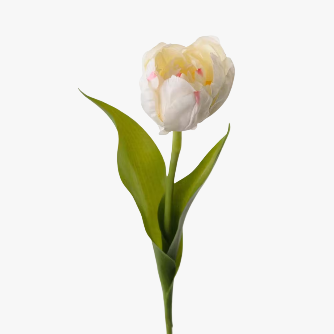 Tulpan 35cm, Vit