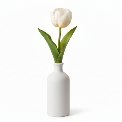 Tulip 35cm, White