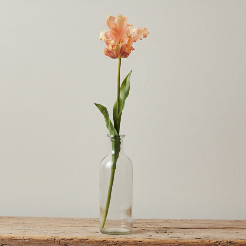 Tulip 35cm, Pink