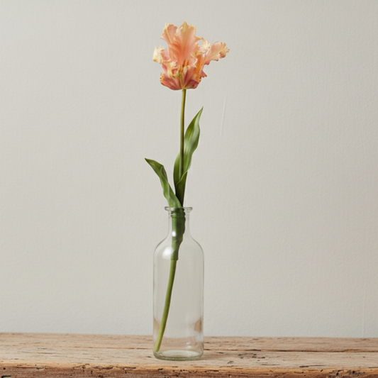 Tulpan Exklusiv Rosa, 70cm