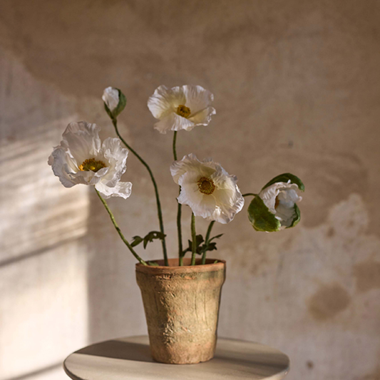 Poppy in pot Cream, 50cm