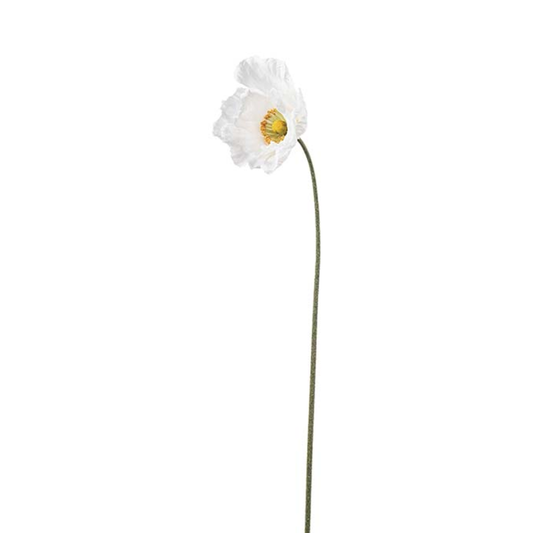Poppy Cream 75cm