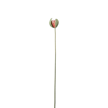 Valmueknop Koral 78cm