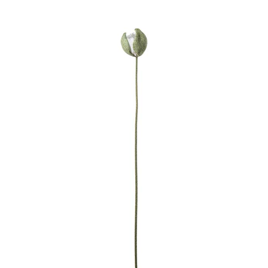 Poppy Bud Cream 78cm