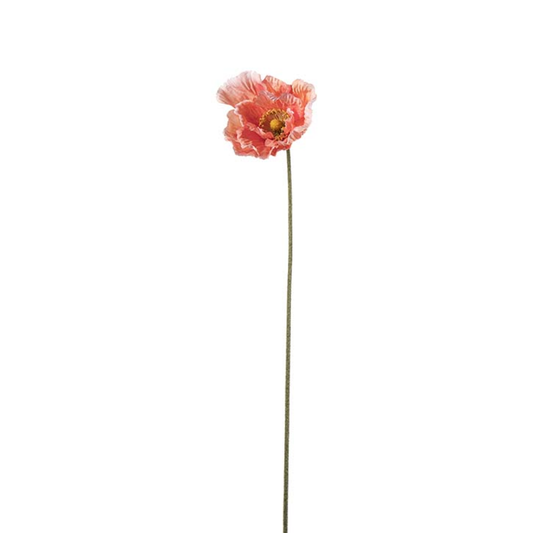 Poppy Coral 75cm