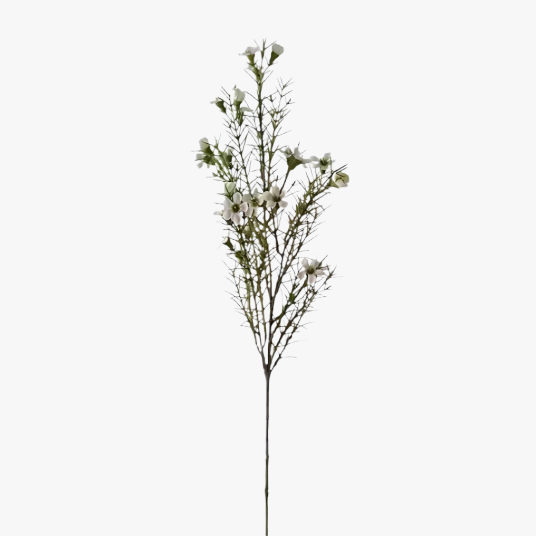 Vaxblomma 60cm, Vit