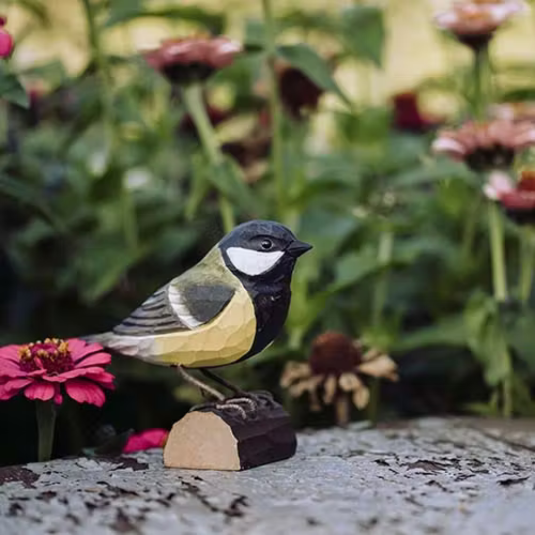 Talgoxe Decobird