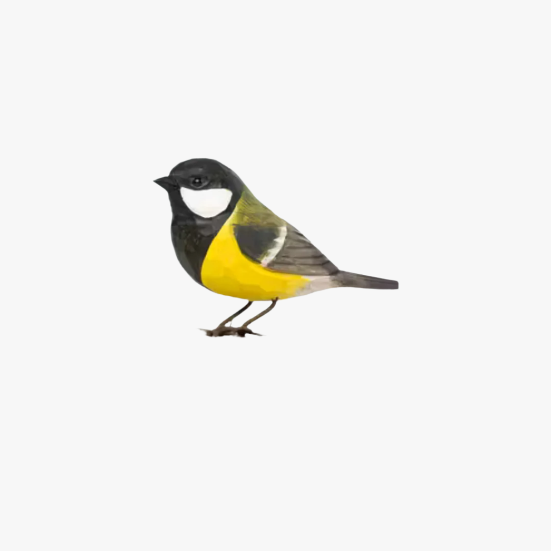 Decobird Talgoxe