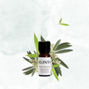 Doftolja 10ml, Cederträ