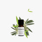 Bambu och olivblomma