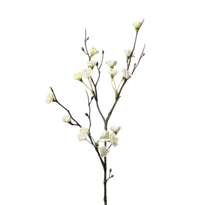 Blomkvist 50 cm