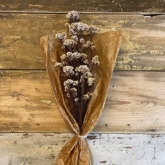 Diosmi Rice Flower 100gr, Ljusrosa