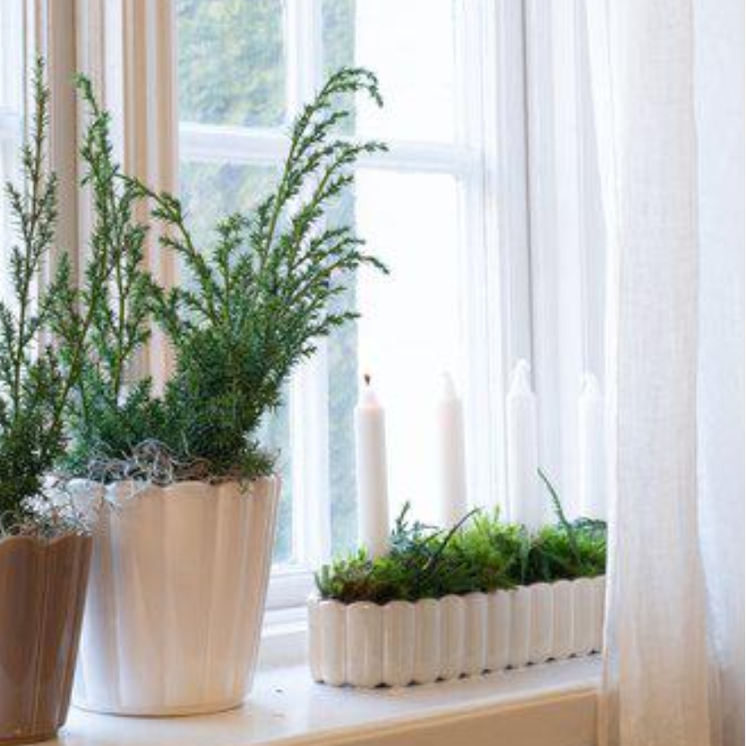 Edna Adventsljusstake, Vit