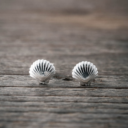 Snäcka örhänge silver