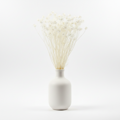 Nigella Orientalis 80gr, Vit