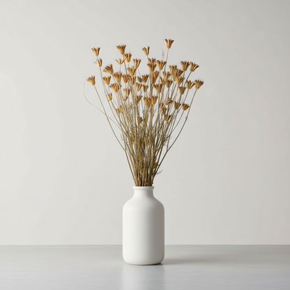 Nigella Orientalis 80gr, Natur