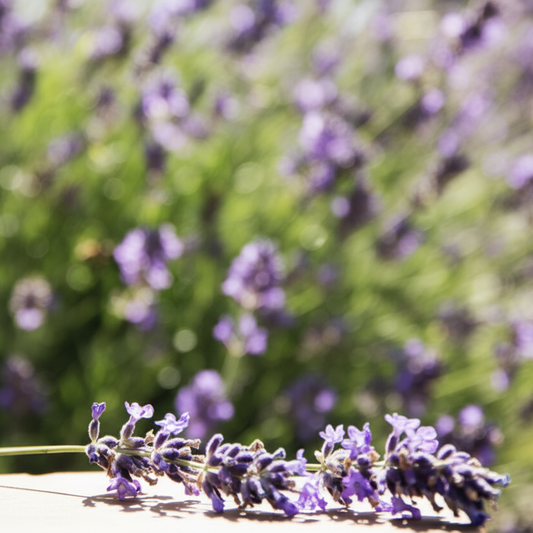 Doft/massageljus Lavendel