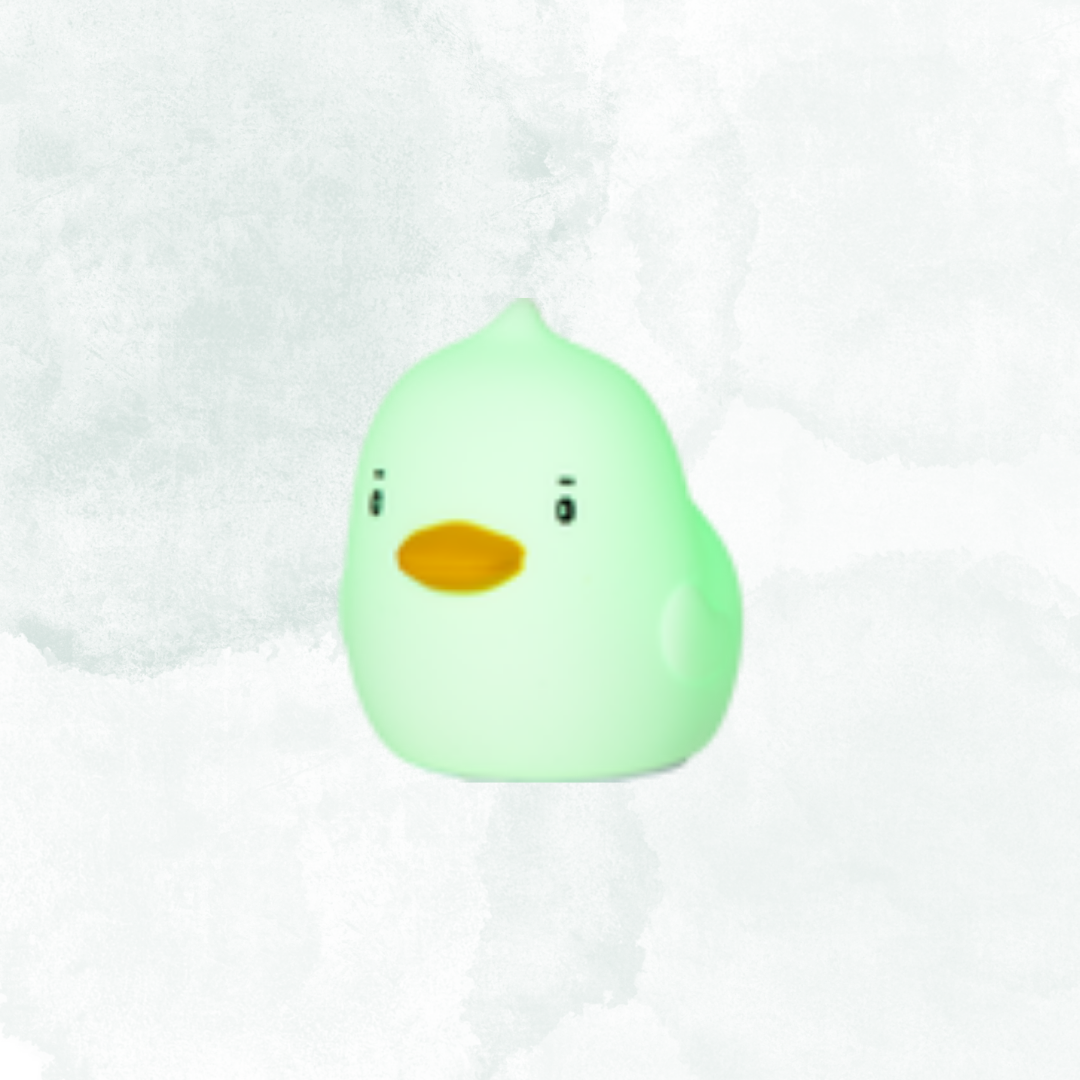 Nattlampa LED Duck