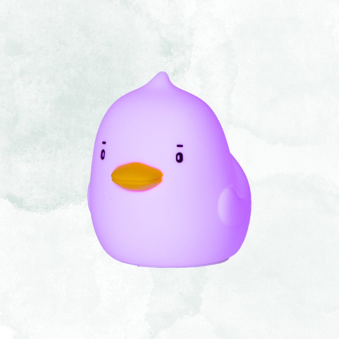 Nattlampa LED Duck