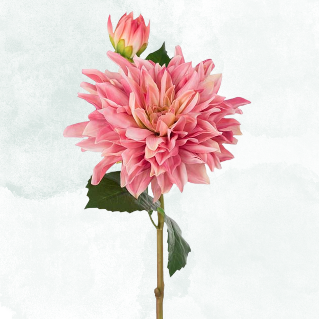 Dahlia 70cm