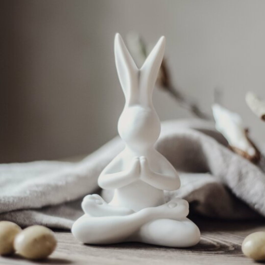 Yoga Bunny