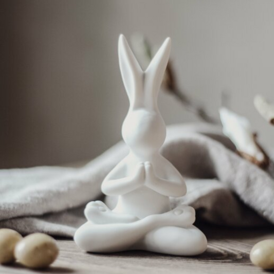Yoga Bunny